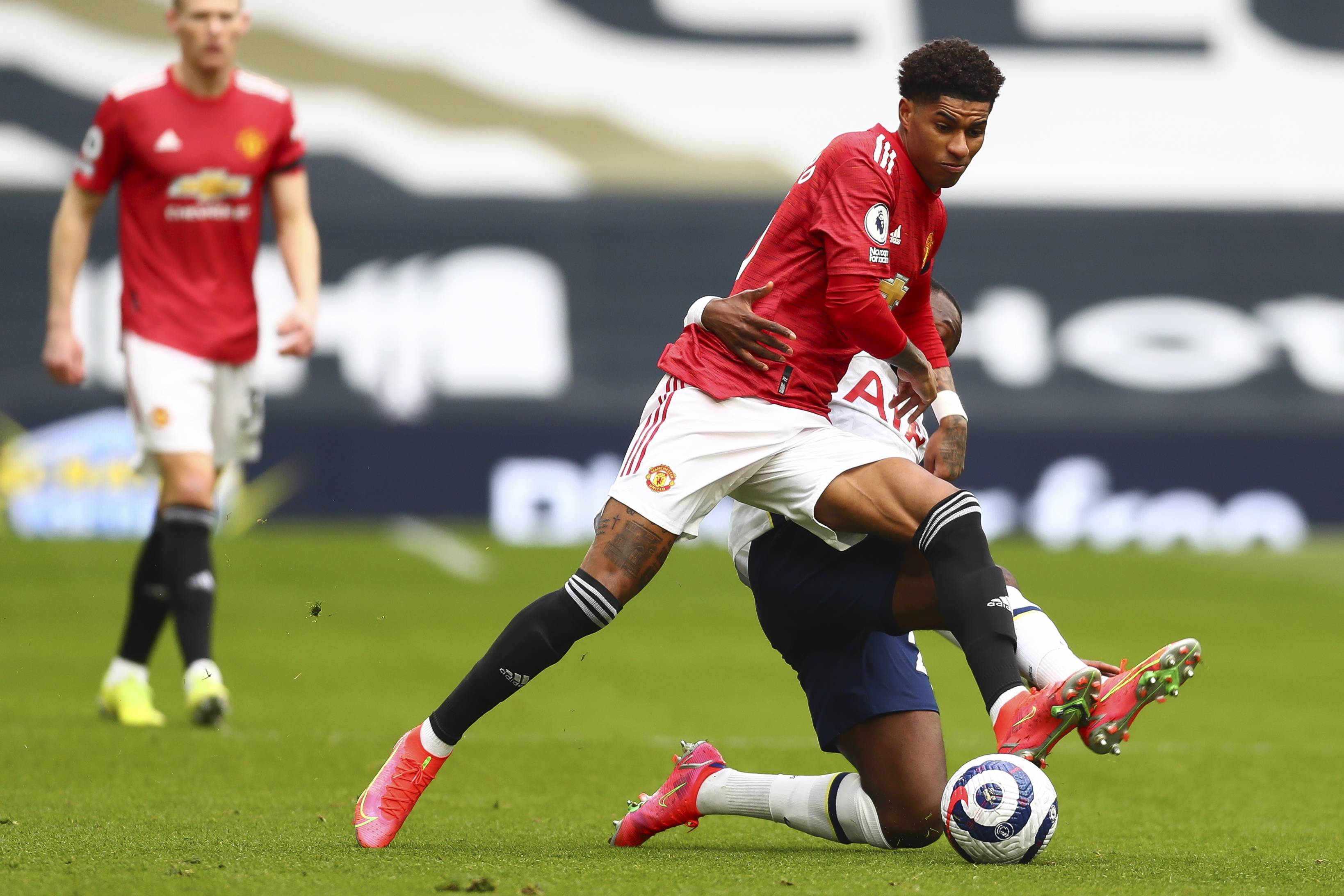 间的深厚情 间的深厚情